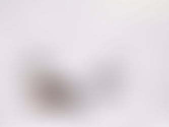 6 challenges, 10 recommendations: The IA's blueprint for better stewardship