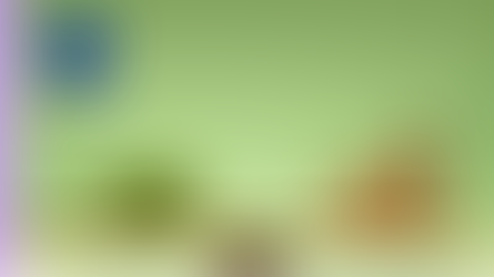 Sutainable Finance Regulation