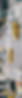 charlie-firth-5ZJs1sMoNns-unsplash_edited.jpg
