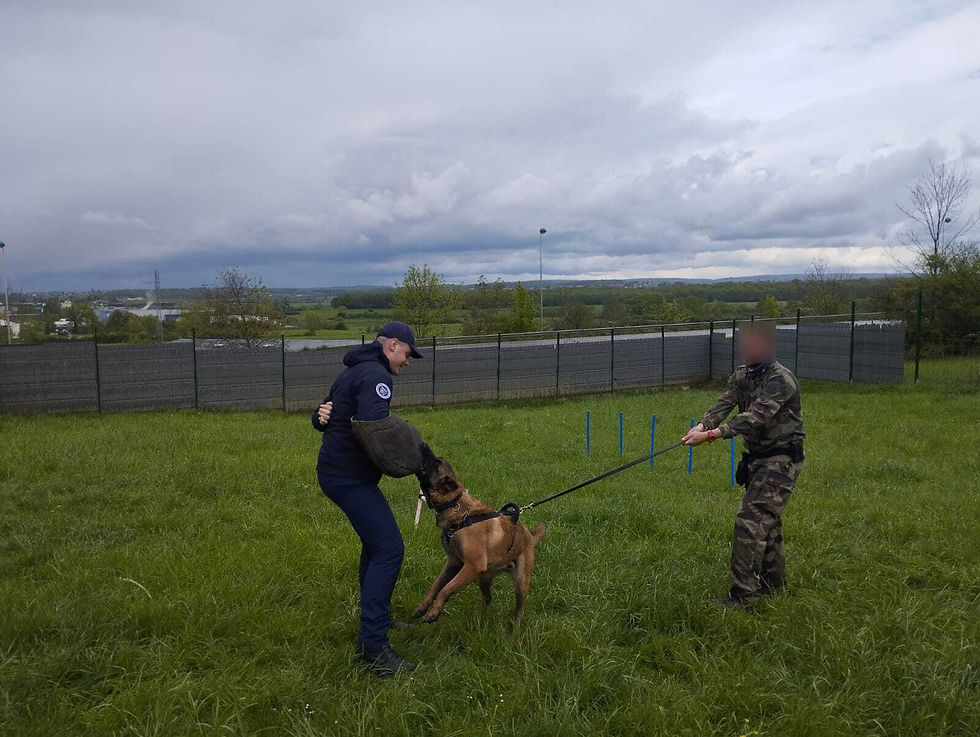 Les Cadets avec le PSIG...