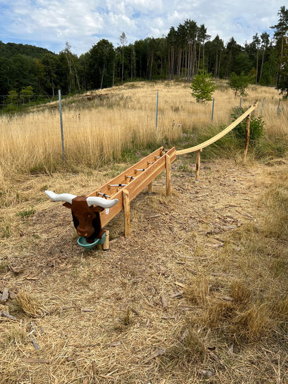 Waldkugelbahn 