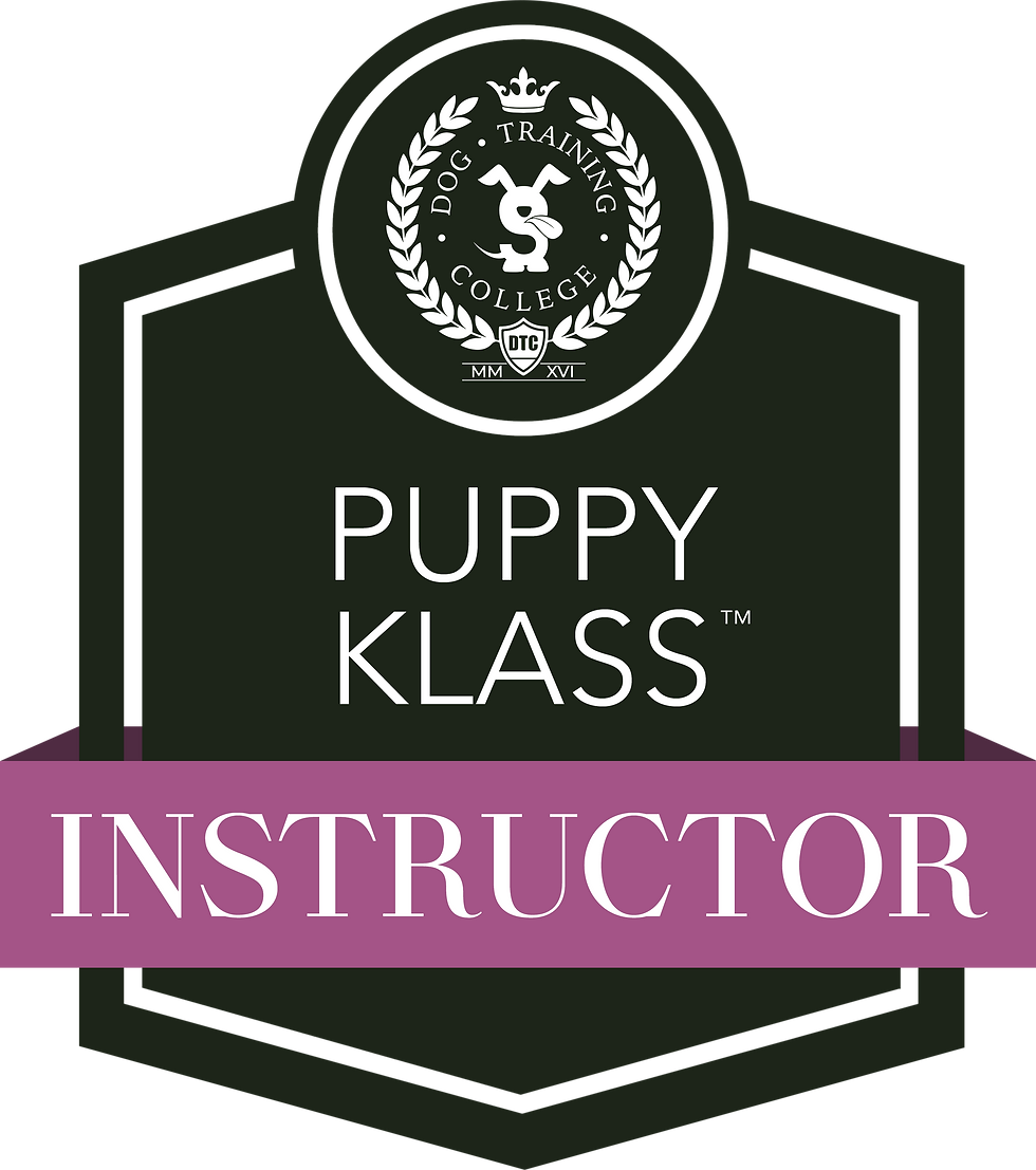 Puppy Klass