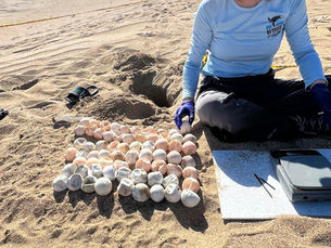 2022 Seed Fund Recipient Final Project Updates