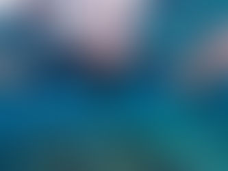 本島南部ビーチエントリー♪