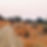 Opposite Action Cycling 3.jpg