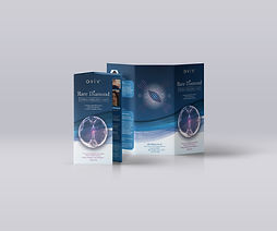 Brochure Mockup 2.jpg