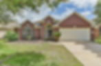 9127 Fermwillow.jpg