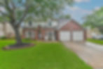 22527 Red Pine.jpg