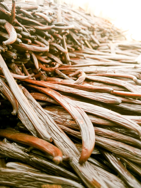 WhatsApp Image 2023-06-29 at 05.51.09 (1).jpg