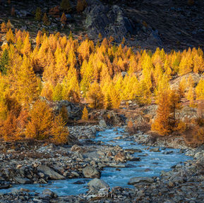 Lötschental Workshop