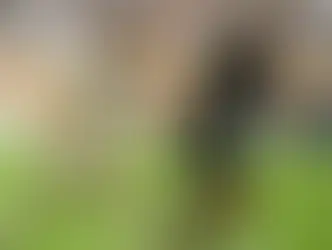 Real Madrid 1 - Juventus 0