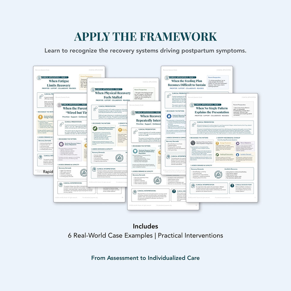 Thumbnail: Postpartum Recovery Systems Guide
