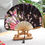 Thumbnail: Japanese fabric fan  - 3 colors