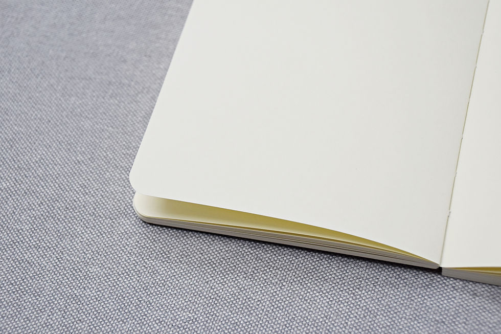 Thumbnail: Chinese sketchbook, a notebook CHINESE MASTERPIECES - 4 patterns