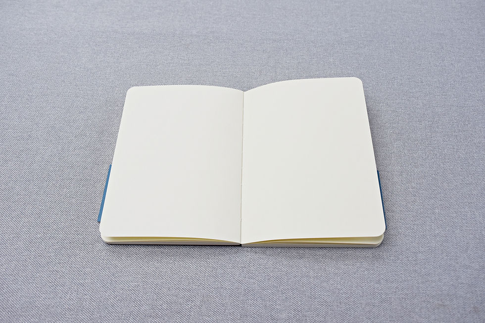 Thumbnail: Chinese sketchbook, a notebook CHINESE MASTERPIECES - 4 patterns