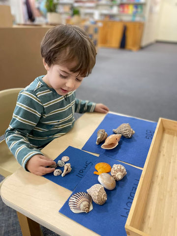 montessori 3.jpeg
