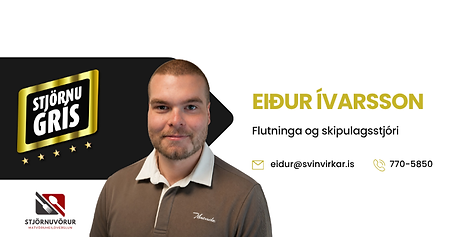 eiður.png