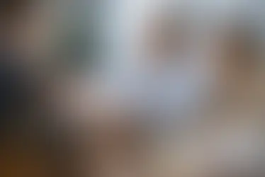 עורך דין ליזמים בתחילת הדרך - מה בודקים