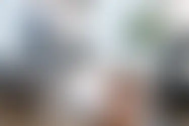 איך להקים תקנון עבודה פנימי נכון