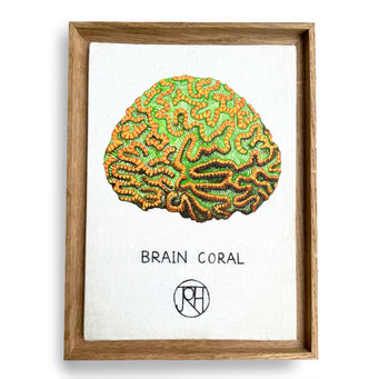 Brain Coral - F.jpg