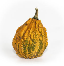 Gourd Series I