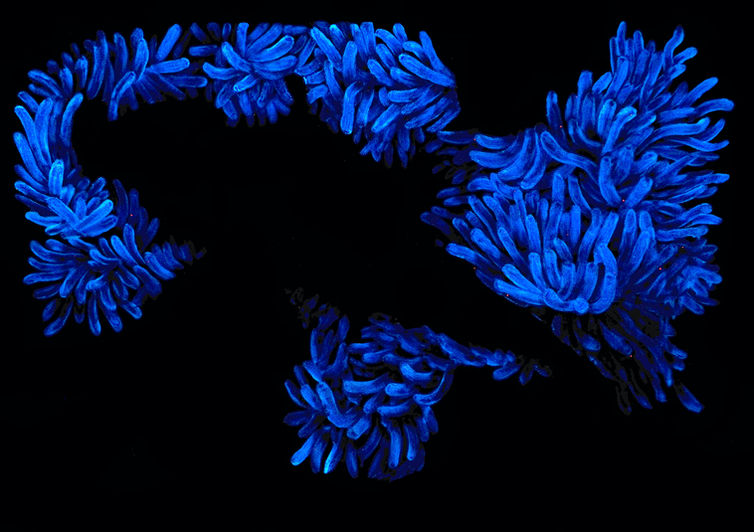 Glow3.jpeg