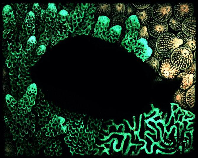 Glow1.jpeg