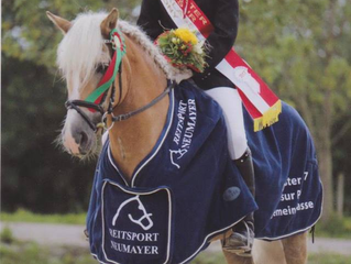 Erfolg für unsere Ponymaster PRO Trainerin !