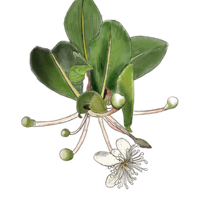 Untitled design (69).png