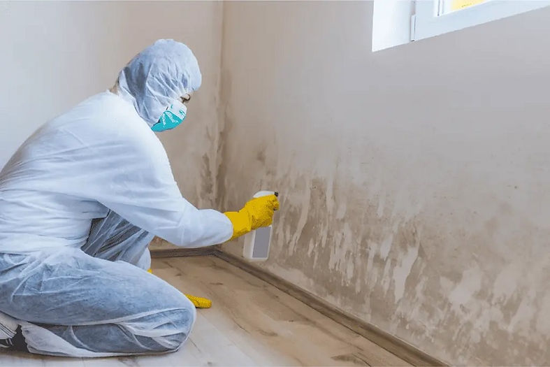 img02_Mold Removal West Chester PA.jpg
