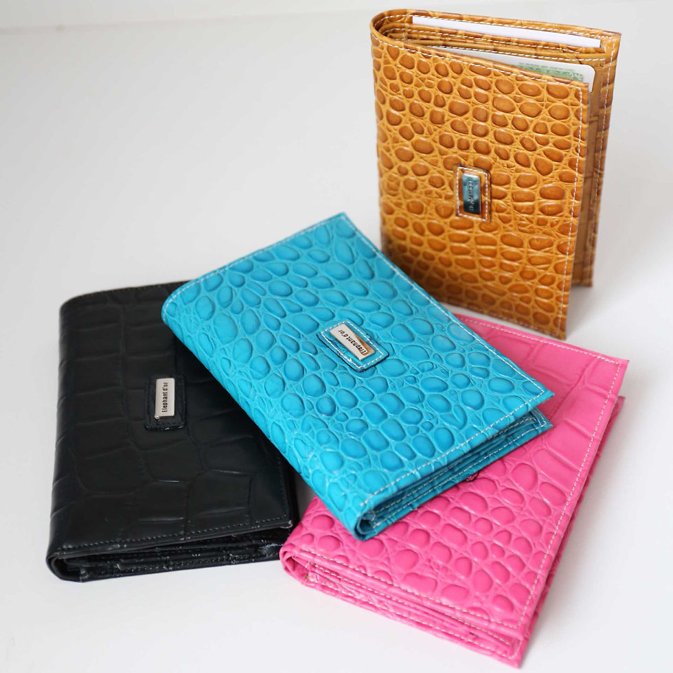 Miniature : PORTEFEUILLES MIXTE