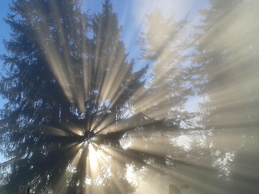 Trauerkarte Sonnenstrahlen