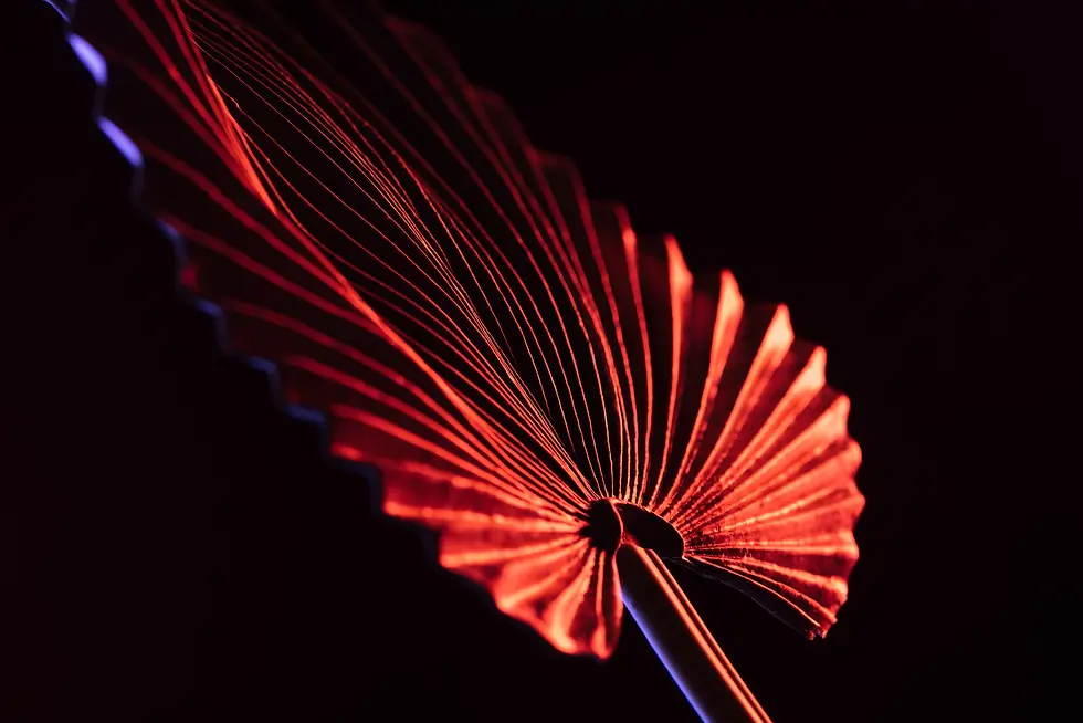 LUSH STUDIO CREATIVE AGENCY IMAGE13.webp