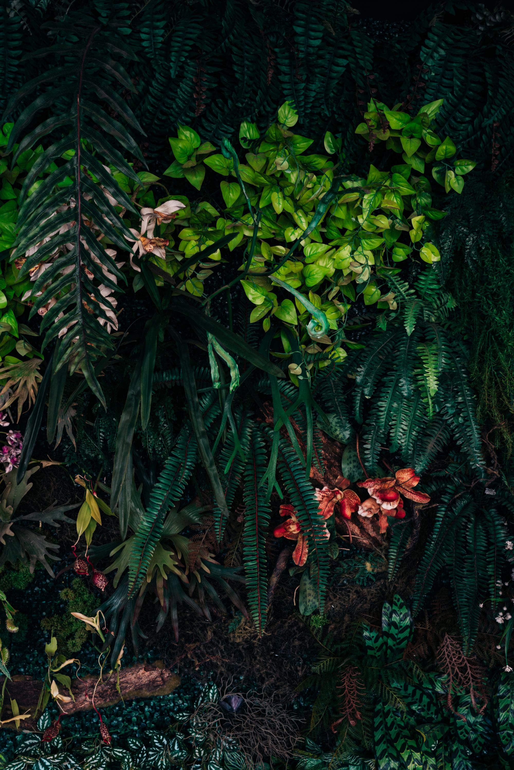 Large gardens