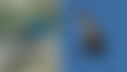 Sortie ornithologique dans le village