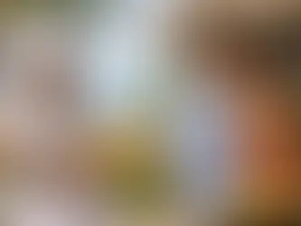 Hospitalidade Baiana e a Arte de Receber Bem