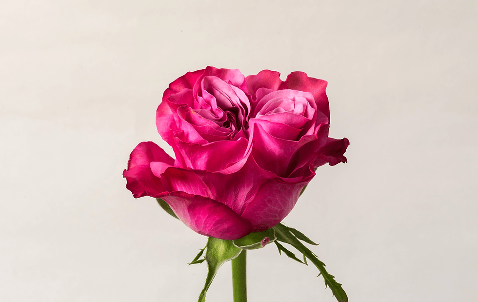 Miniature : Country Blues