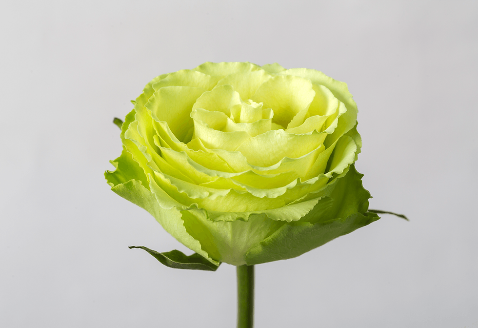 Miniature : Peridot