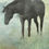 Thumbnail: Black horse standing in a pasture