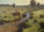 farm meadow with several cows by a stream