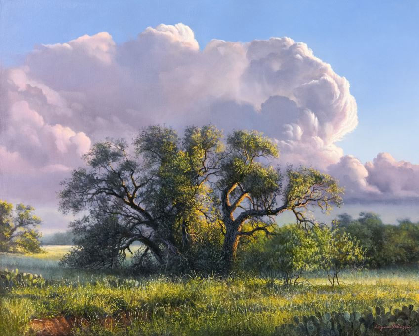 Oak tree in the middle of a bluebonnet field