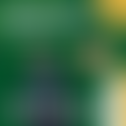 Bryan Sepúlveda ganó la primera medalla de bronce para Risaralda en la paranatación