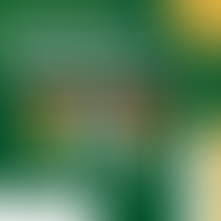 Medallero de Risaralda en Paranacionales 