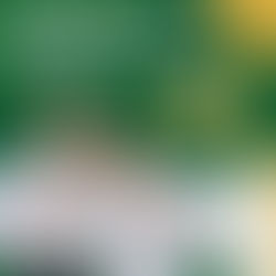 Medallas de oro en Judo para Risaralda