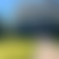 Architectural Poetry: The Elegance of Cast Stone Fireplace Installation