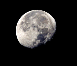 Luna morsicata_edited