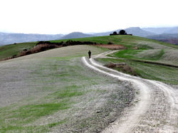 Strada campestre - sito