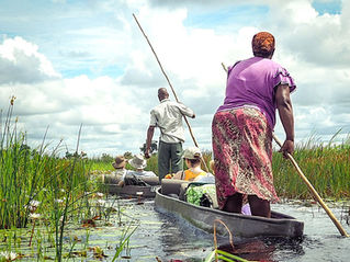 Blog Botswana: Moremi Game Reserve