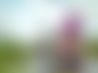 Blog Botswana: Moremi Game Reserve