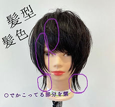スキルクエスト トプ画.png